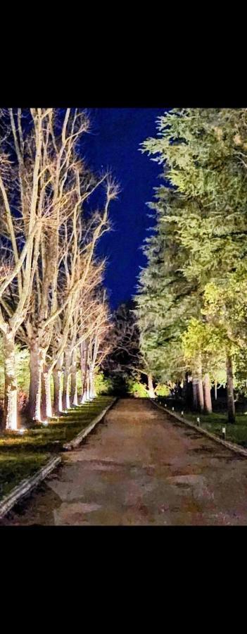 La Casa Nel Parco Luxury B&B Сан-Ладзаро-ди-Савена Экстерьер фото
